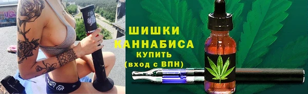 ГАЛЛЮЦИНОГЕННЫЕ ГРИБЫ Гусь-Хрустальный