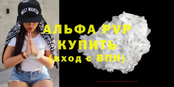 стафф Гусев