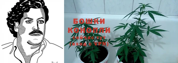 не бодяженный Гусиноозёрск