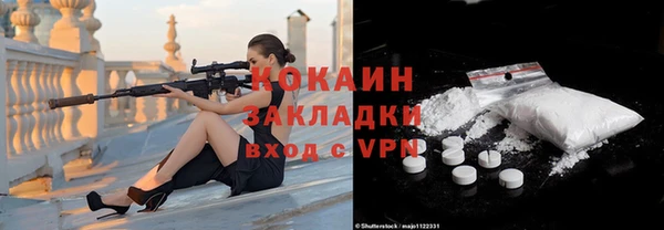ГАЛЛЮЦИНОГЕННЫЕ ГРИБЫ Гусь-Хрустальный