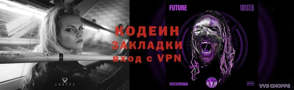 ГАЛЛЮЦИНОГЕННЫЕ ГРИБЫ Гусь-Хрустальный