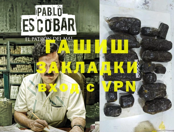 стафф Гусев