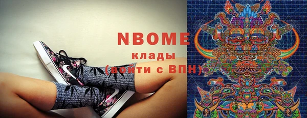 стафф Гусев