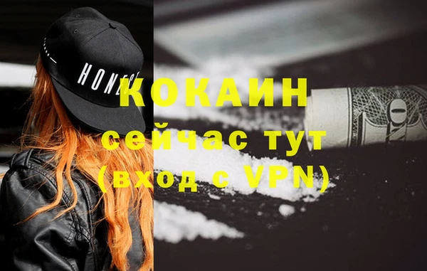 стафф Гусев