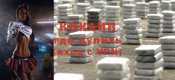 стафф Гусев