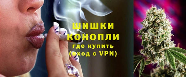 не бодяженный Гусиноозёрск