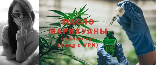 ГАЛЛЮЦИНОГЕННЫЕ ГРИБЫ Гусь-Хрустальный