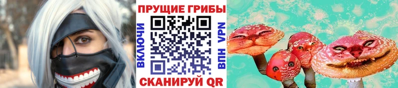 закладки  кракен зеркало  Псилоцибиновые грибы Psilocybe  Москва 