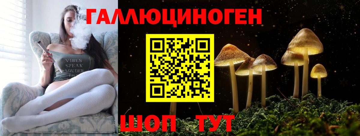 Москва  даркнет сайт  Вход с VPN  Псилоцибиновые грибы Psilocybe 